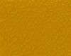 Close-up of a textured orange surface with small raised dots.