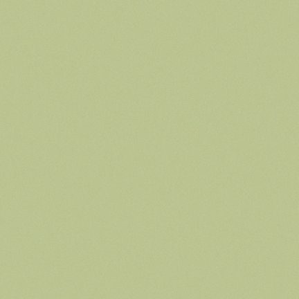 A smooth, solid light green surface.