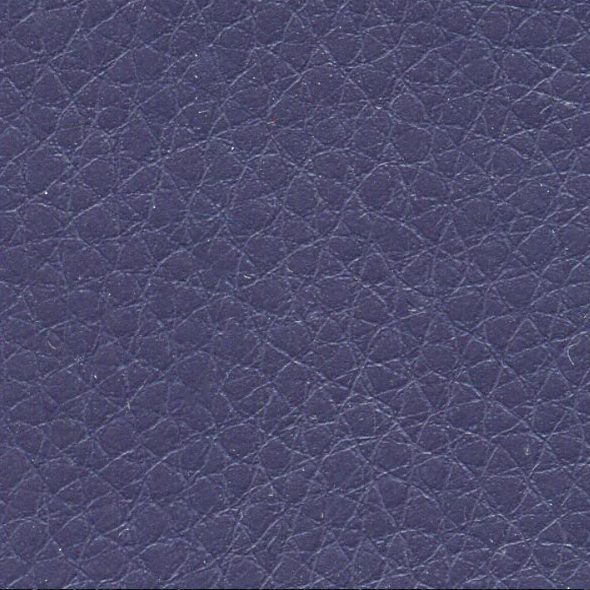 Close-up of textured blue leather surface.