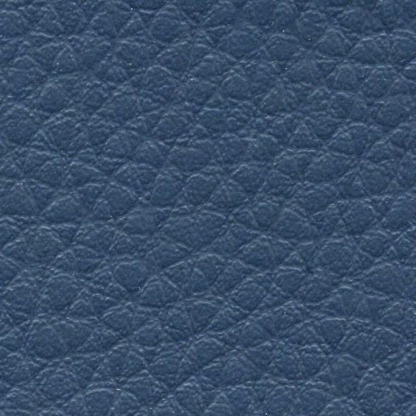 Close-up of textured blue leather surface.
