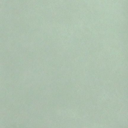 A smooth, solid light green surface with subtle texture.