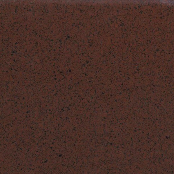 Close-up of a textured reddish-brown surface with dark speckles.