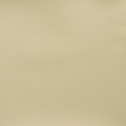 Plain beige textured background.
