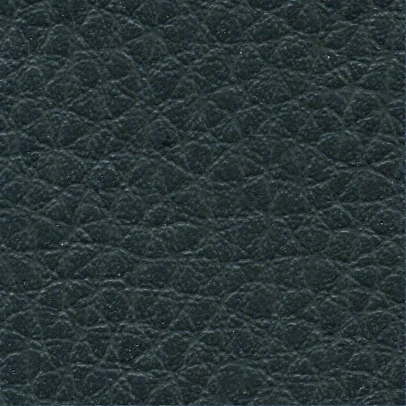 Close-up of textured black leather surface.