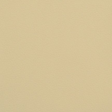 A plain beige background with a smooth texture.