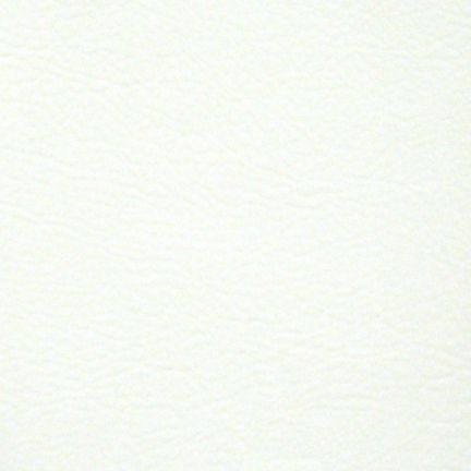 Plain white textured paper background.