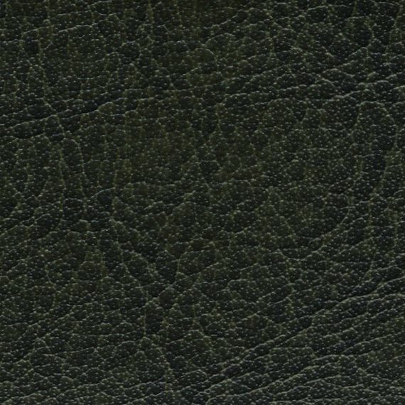 Close-up of dark textured leather surface.