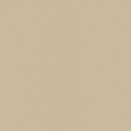 Solid beige color background with smooth texture.