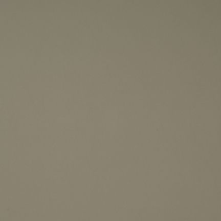 A smooth, solid beige surface with no distinct features.