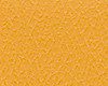 Close-up of textured orange surface with intricate patterns.