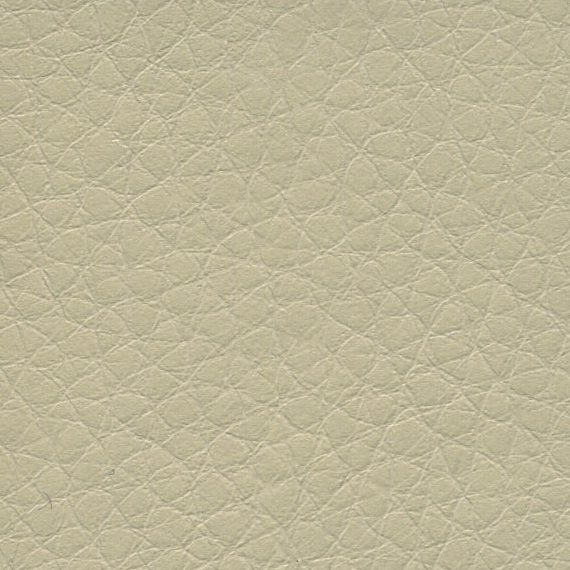 Close-up of beige textured leather surface.
