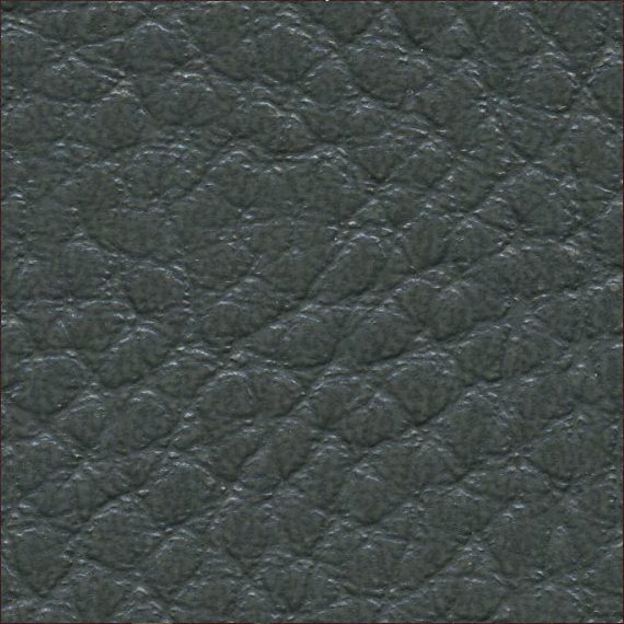 Close-up of textured dark leather surface.