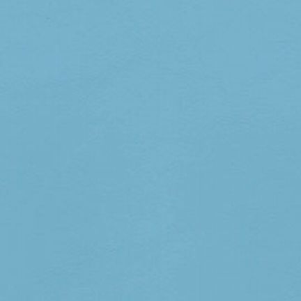 Solid light blue textured background.