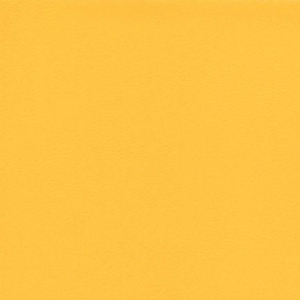 Solid mustard yellow textured background.