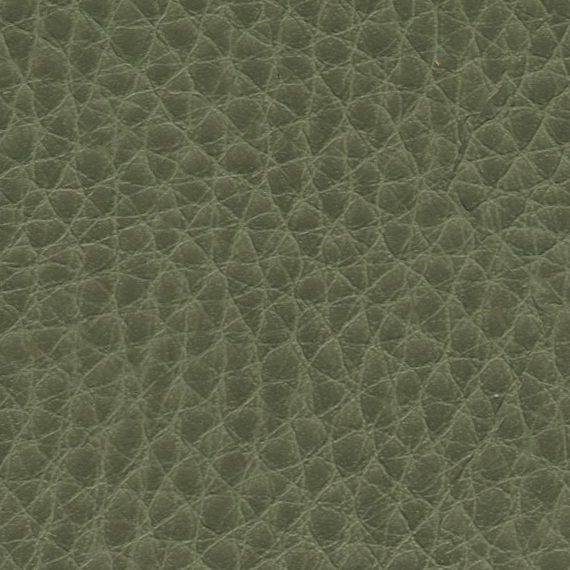 Close-up of textured green leather surface.