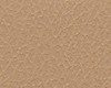 Close-up of a textured, beige surface resembling sand or rough fabric.