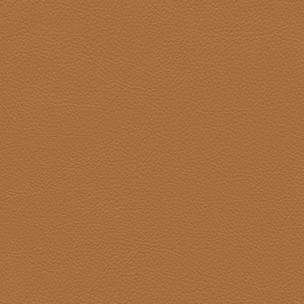 Solid brown color background with no distinct features.