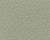 Close-up of a textured green surface with a fine, intricate pattern.