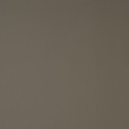 A plain brown textured surface with no distinct features.