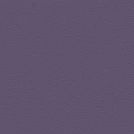 Solid muted purple color background.