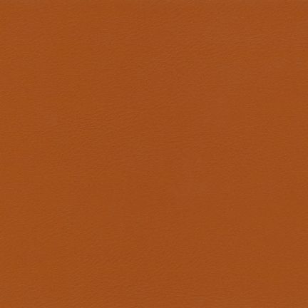 Solid brown color background with no patterns.