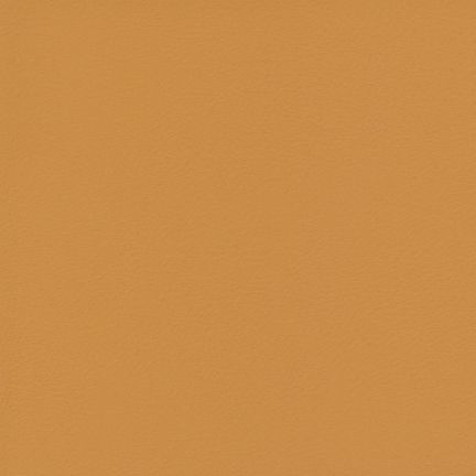 Solid warm brown color background.