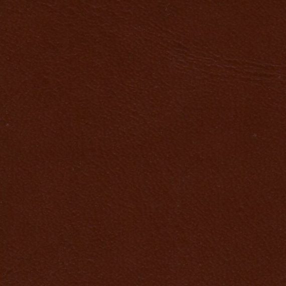 Close-up of brown textured surface.
