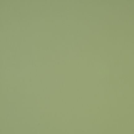 A plain olive green background with no distinct features.
