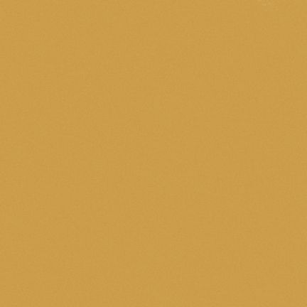 Solid mustard yellow background with a smooth texture.