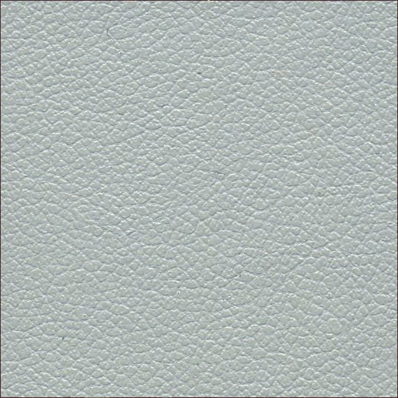 Close-up of textured light gray leather surface.