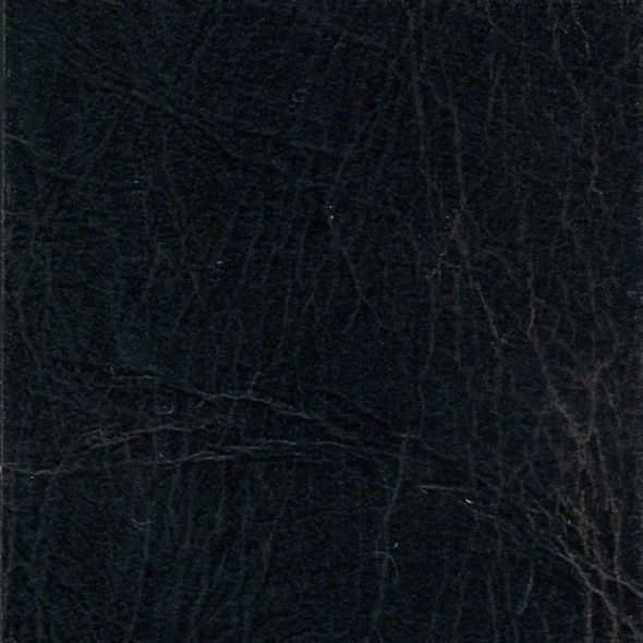 Close-up of textured black leather surface.