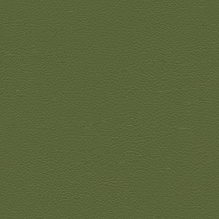 Solid olive green textured background.