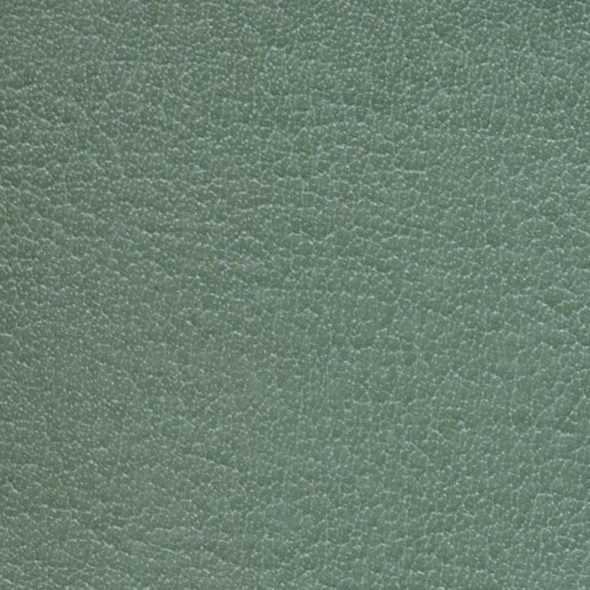 Close-up of textured green leather surface.