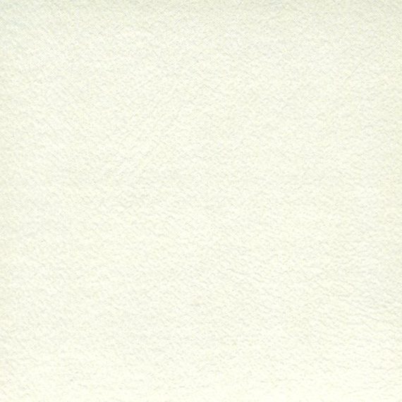 Plain white textured paper background.