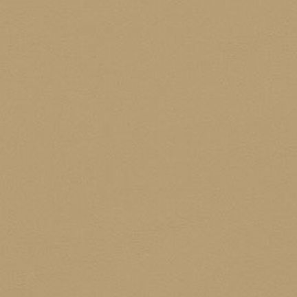Solid beige color background with a smooth texture.