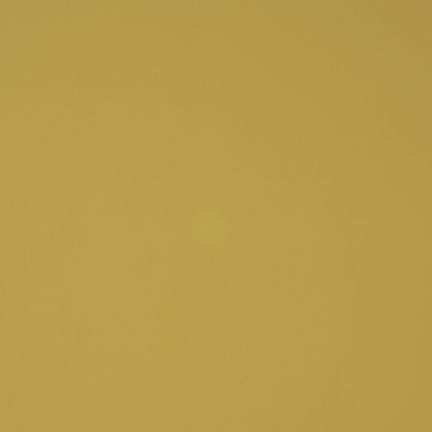 A solid mustard yellow background with no distinct features.