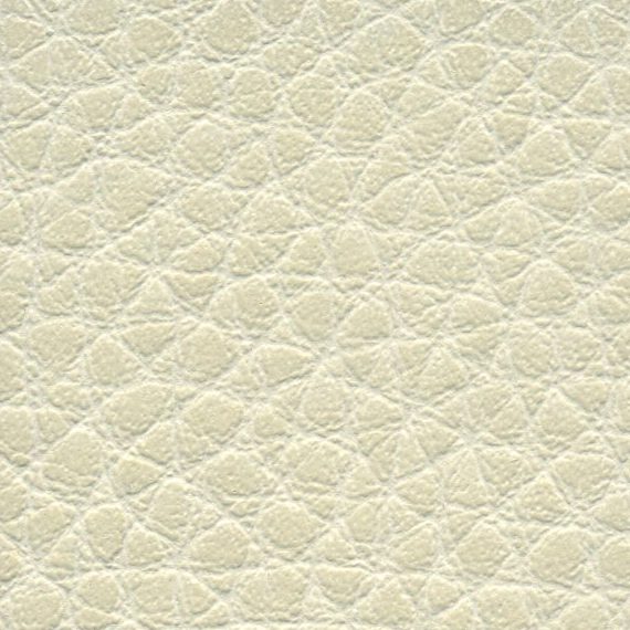 Close-up of textured beige leather surface.