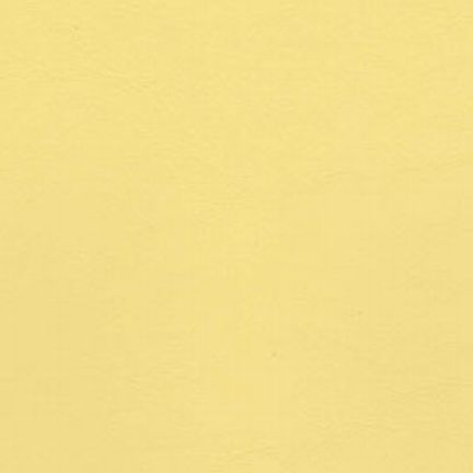 Plain yellow textured background.