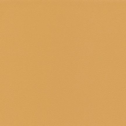 Solid mustard yellow background with no patterns or objects.