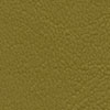 Close-up of textured olive green surface.