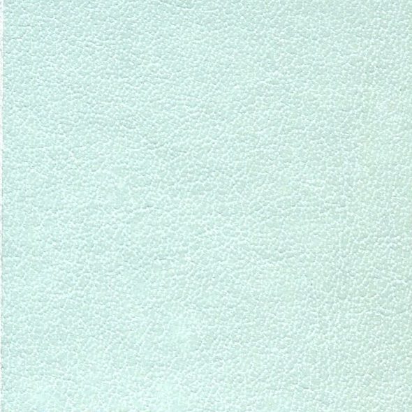 Light blue textured paper background.