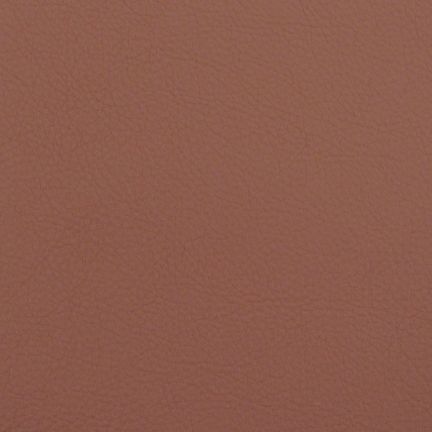 Solid brown color background with a smooth texture.