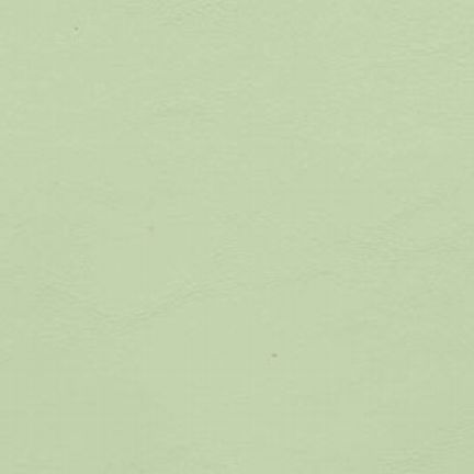 Solid light green textured background.