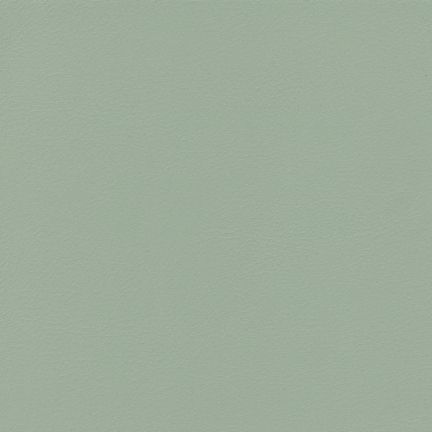 A plain, muted green surface with a smooth texture.