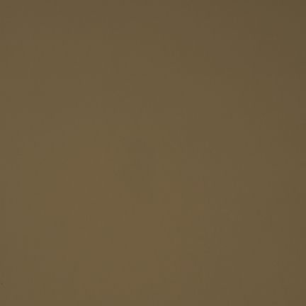 Solid brown color background with no distinct features.