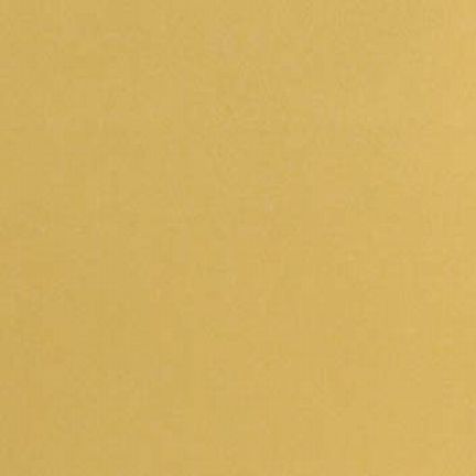 A plain solid mustard yellow background.