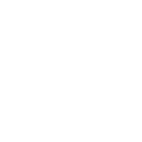 Icon of a fast shipping box with an arrow.