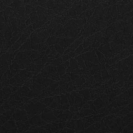 Close-up of textured black leather surface.