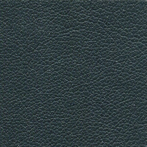 Close-up of textured black leather surface.