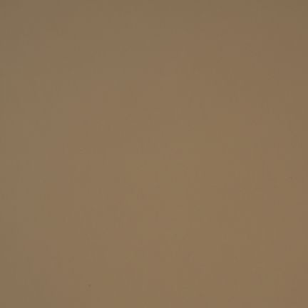 Solid light brown background with no distinct features.